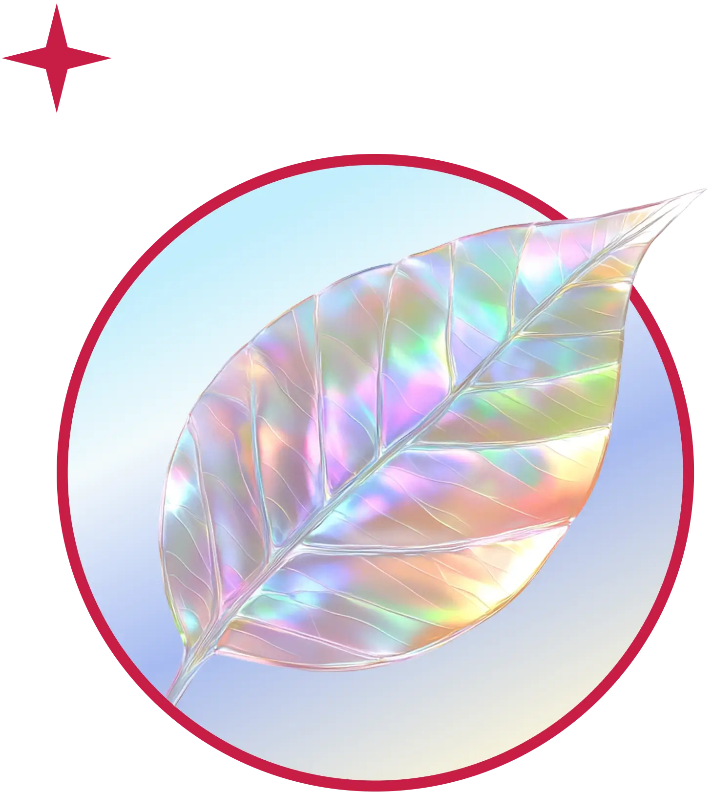 Alt Image